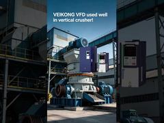 VEIKONG VFD in verticale breker